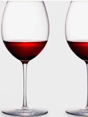 Rogaska Expert Pinot Glasses Set of 2